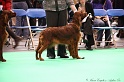 Crufts2011 314